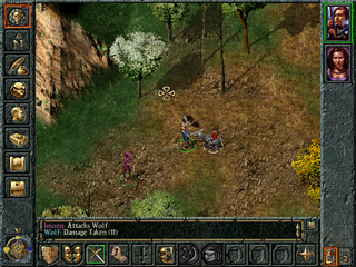 Baldur's Gate